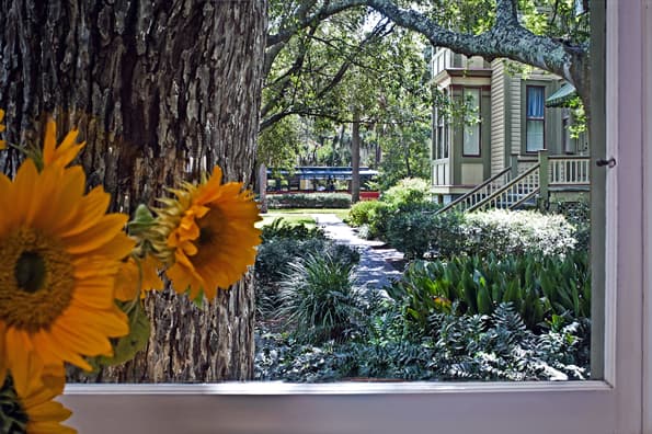 View from kitchen window outside shows  flowers, greenery and a brick path going past the main mansion.
