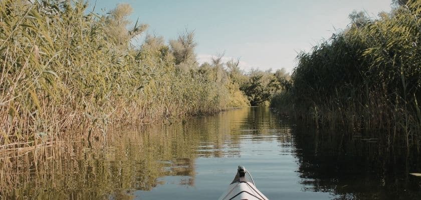 A kayak glides along a narrow, serene waterway lined with tall reeds and trees.