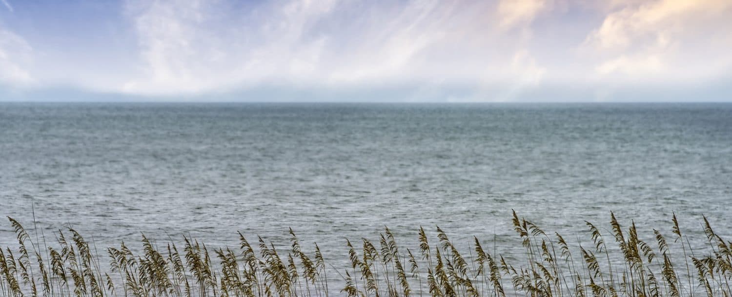 Calm ocean waters stretch to the horizon, with tall grass in the foreground.