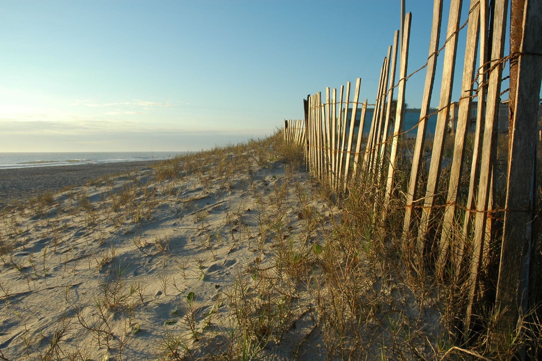 A wooden fence stretches along a sandy dune with grass under a clear sky.