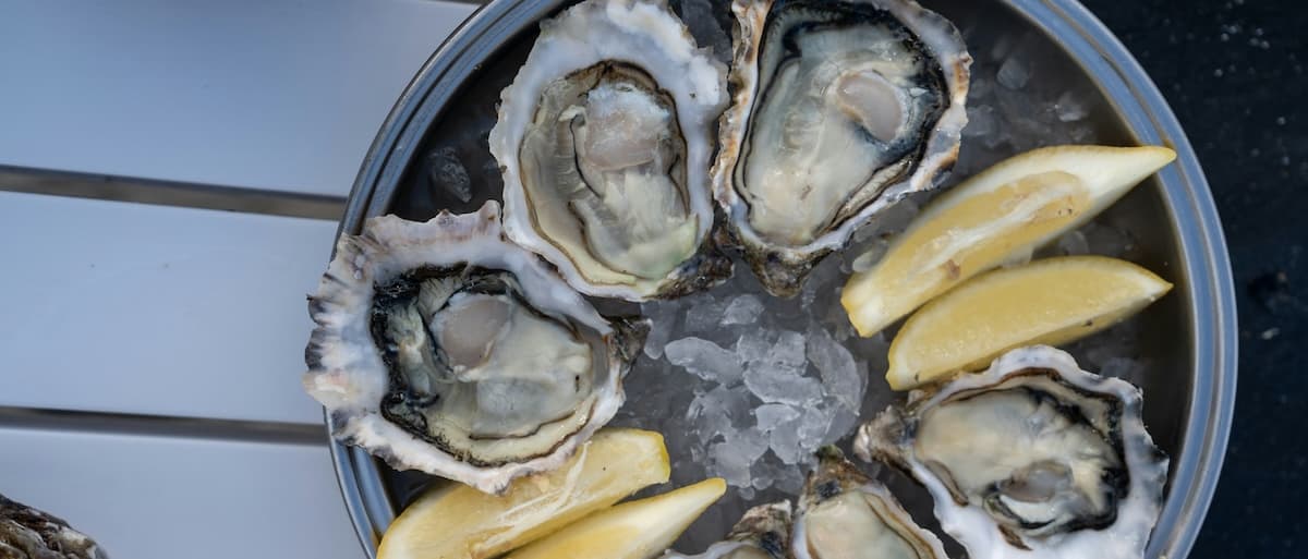 A bowl of freshly shucked oysters served on ice with lemon wedges.