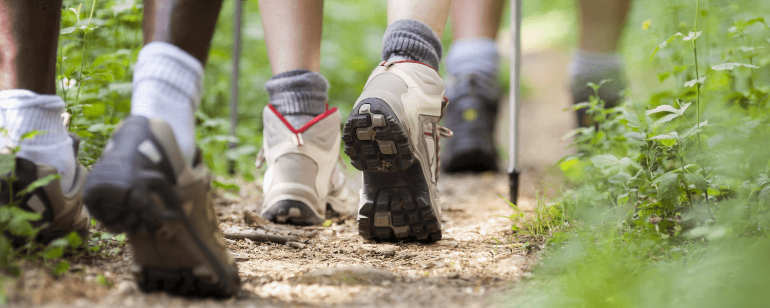 A close-up of several pairs of hiking shoes walking on a dirt trail surrounded by greenery.