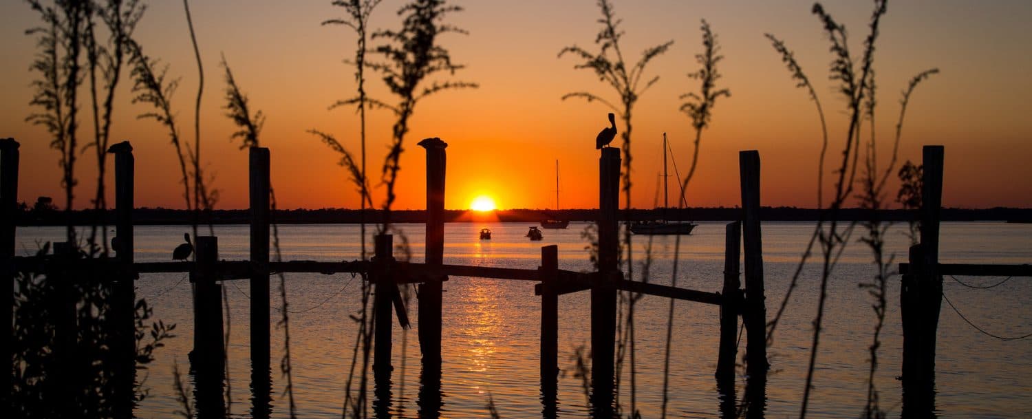A vibrant sunset over water, framed by silhouettes of tall grasses and a wooden fence.