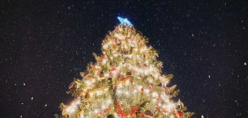 A Christmas tree glowing with festive lights beneath a dark night sky as snow falls around it.