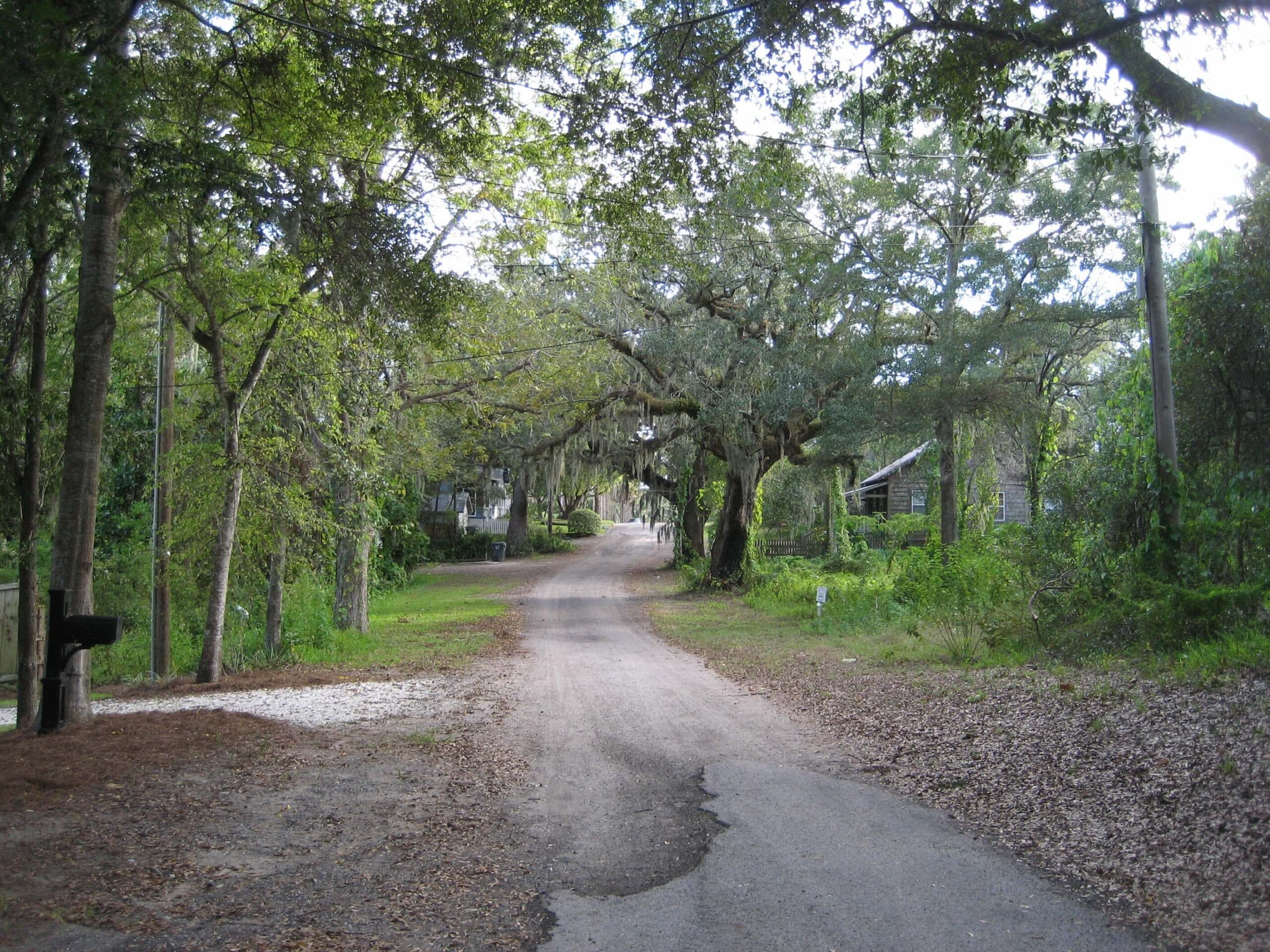 A gravel road lined with trees leads to distant houses in a lush, green setting.