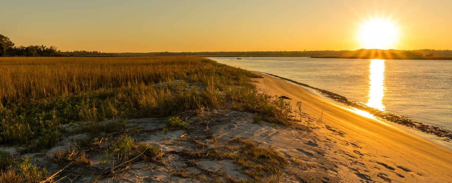 Sunrise over a tranquil riverbank with golden light reflecting on the water and grass.