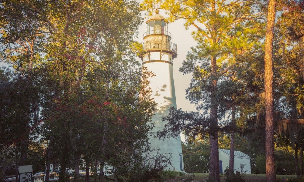 Amelia Island Lighthouse surrounded by tall trees glowing in warm golden sunlight.