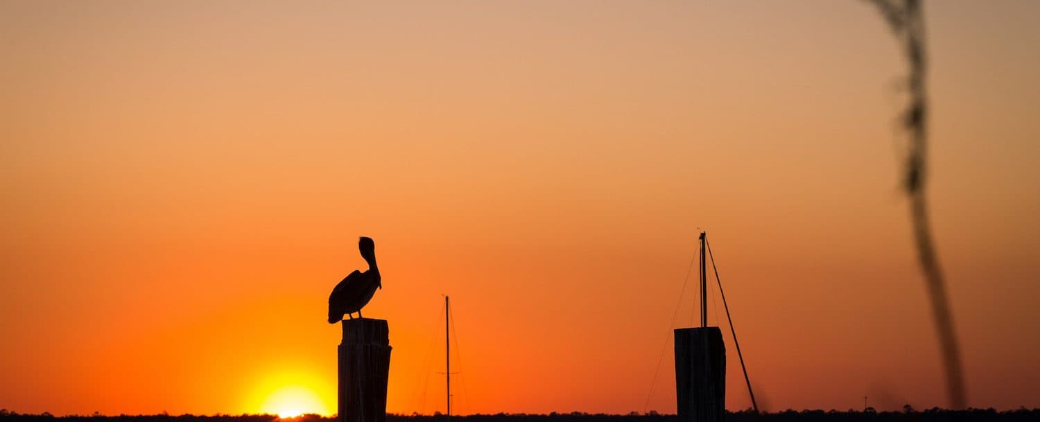 A silhouette of a pelican sits on a post against a vibrant sunset.